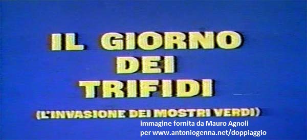 Logo italiano del film