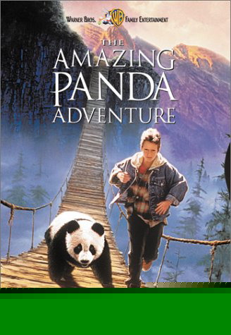 Copertina americana del DVD del film