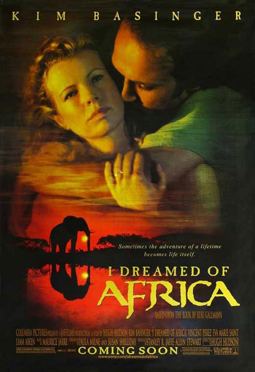 Copertina italiana del DVD del film