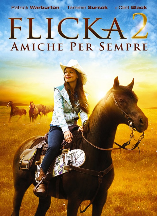 Manifesto italiano del film