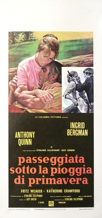 Manifesto italiano del film