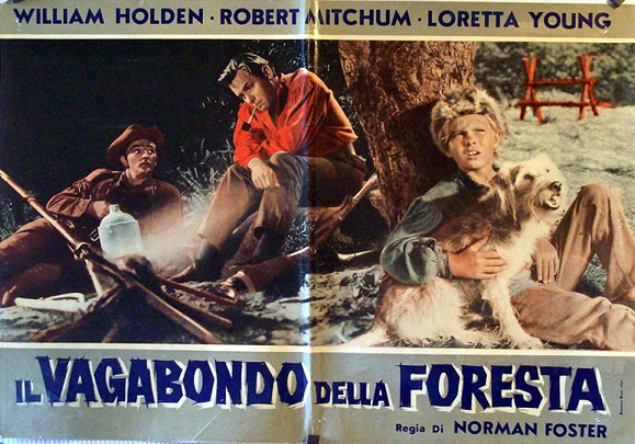  "Il vagabondo della foresta"