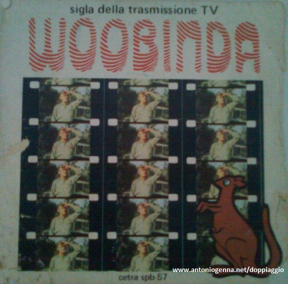 Disco della sigla italiana del telefilm