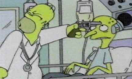 Homer e Mr. Burns